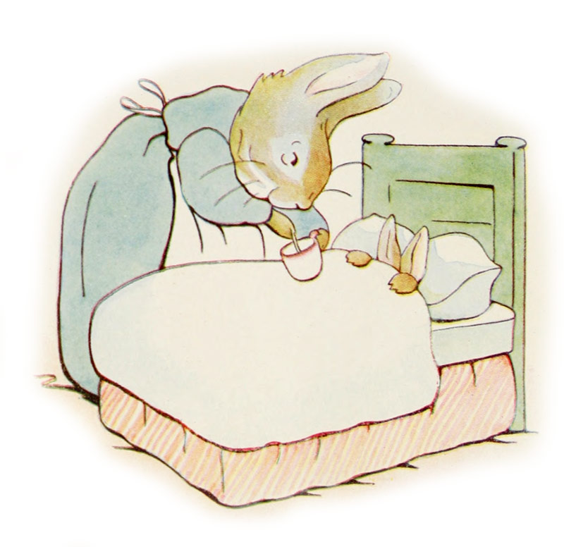 L'histoire de Pierre Lapin cover